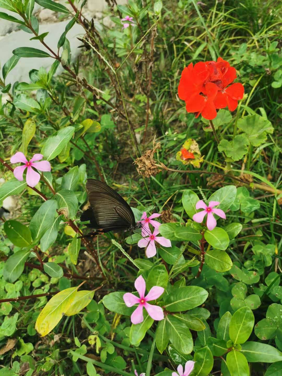 ΢ňDƬ_20190830101333.jpg